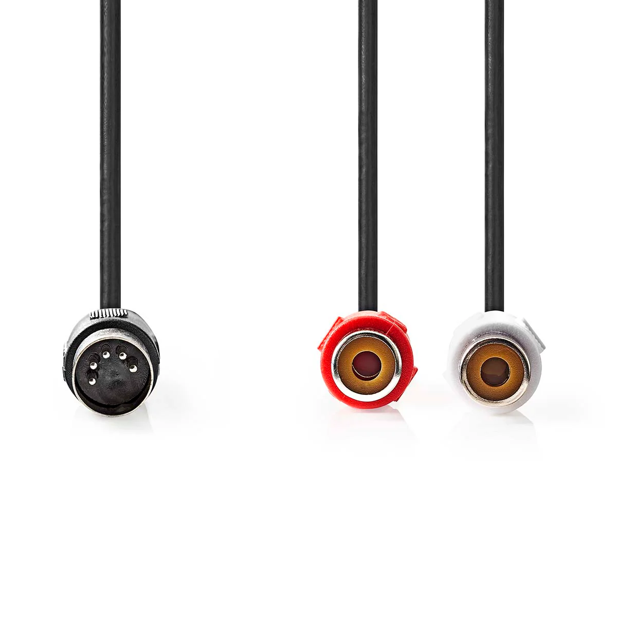DIN-Audiokabel DIN 5-Pins Male - 2x RCA Female - Vernikkeld - Image 2
