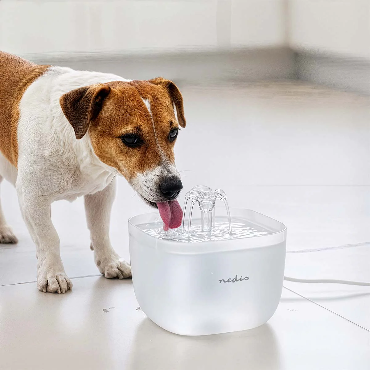 Drinkfontein voor kat en hond 2.0l - 40 dB - 1.50m - Image 12