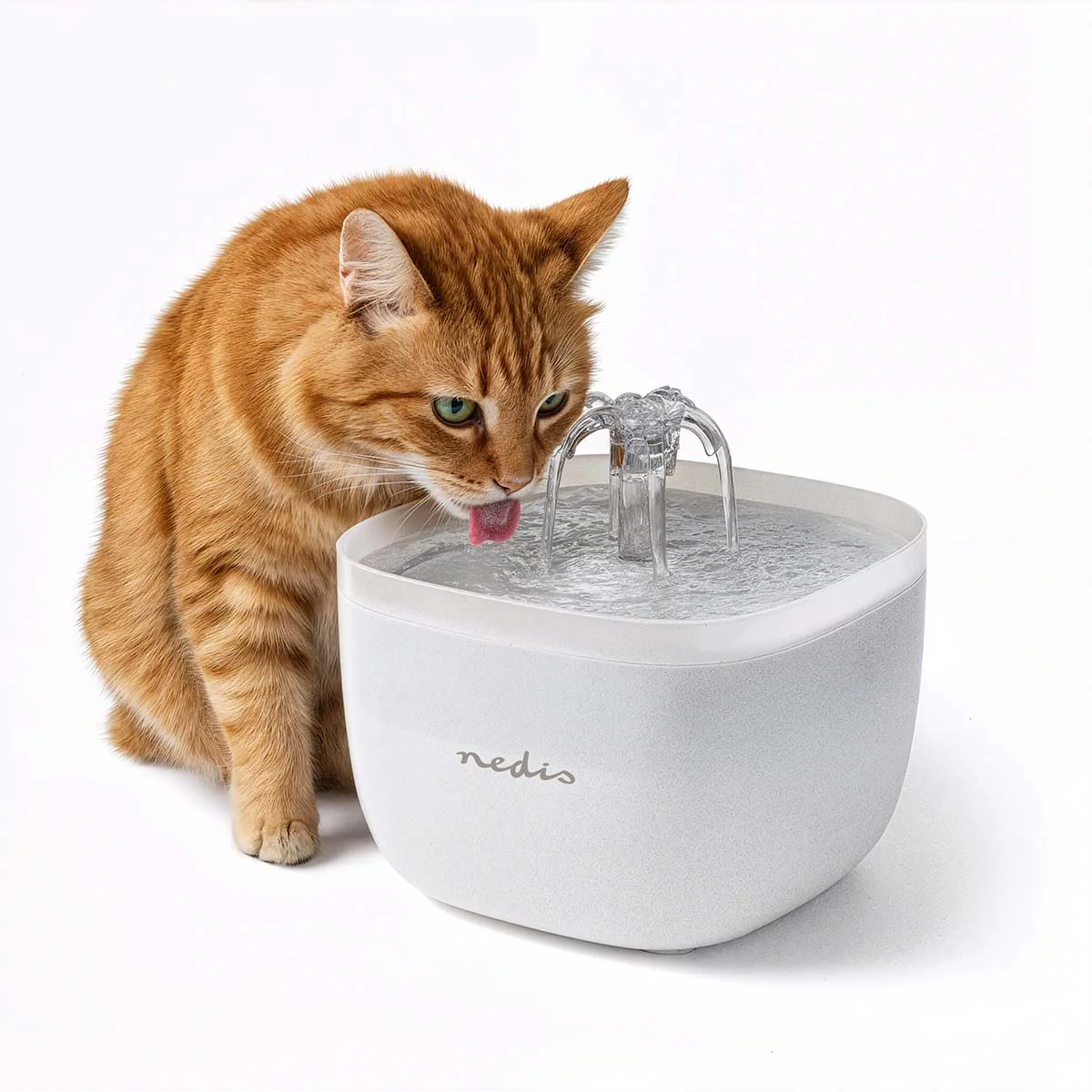 Drinkfontein voor kat en hond 2.0l - 40 dB - 1.50m - Image 13
