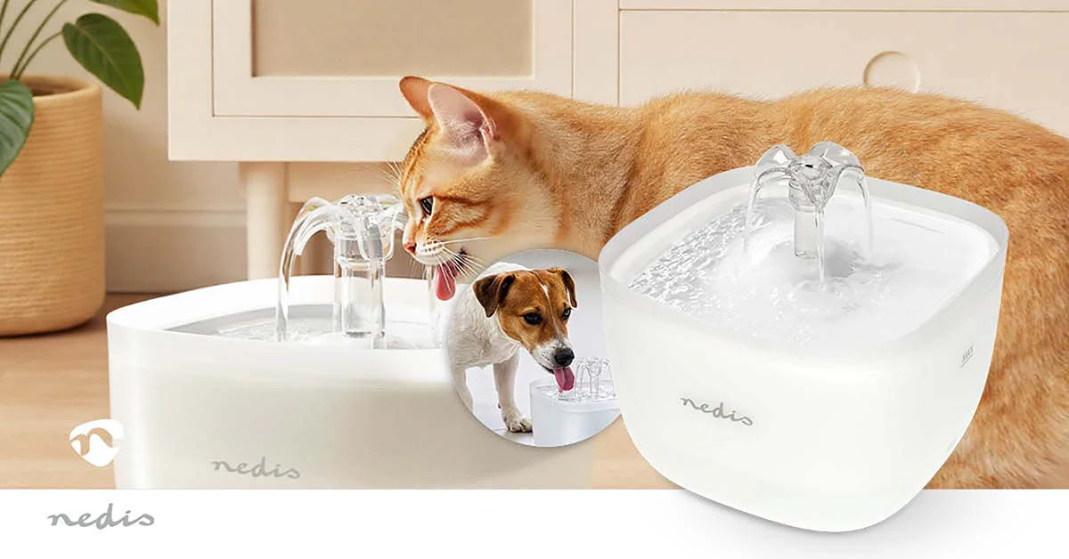 Drinkfontein voor kat en hond 2.0l - 40 dB - 1.50m - Image 18